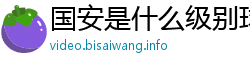 国安是什么级别球队